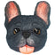 Custom 3D Face Cake for Pets- 10 inches
